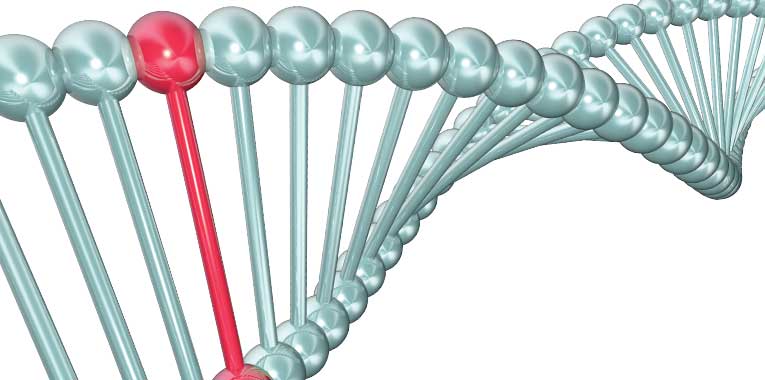 o-cancer-pode-ser-hereditario+ihoc