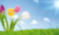 enxergando-embacado+artur-schmitt