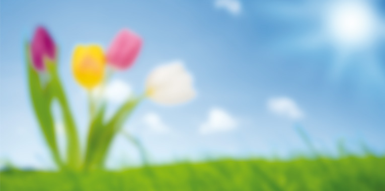 enxergando-embacado+artur-schmitt