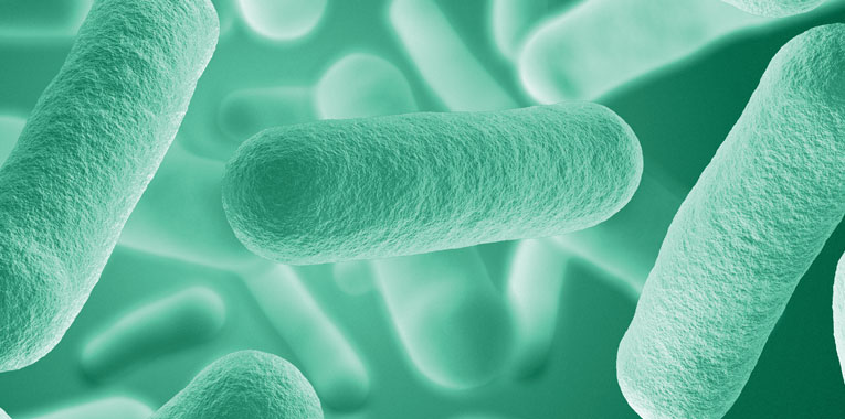 probioticos-prebioticos-e-o-cancer+shopesaude