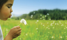 tratamento-de-dependencia-de-alcool-e-outras-drogas cleuza-canan