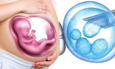 um-empurrazinho-a-mae-natureza+embryo