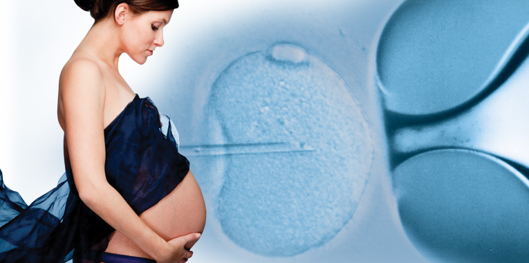 concebido-com-carinho+embryo